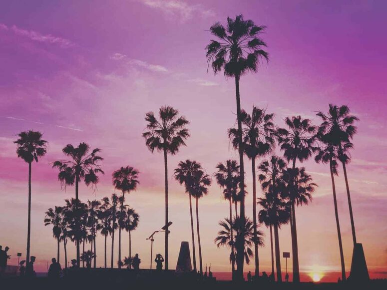 Lugares felizes para visitar em Miami, Flórida