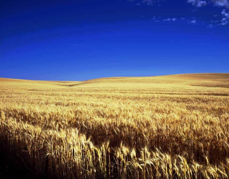 Coisas memoráveis ​​para fazer em Kansas